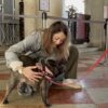 Al museo con il cane: A Venezia si può